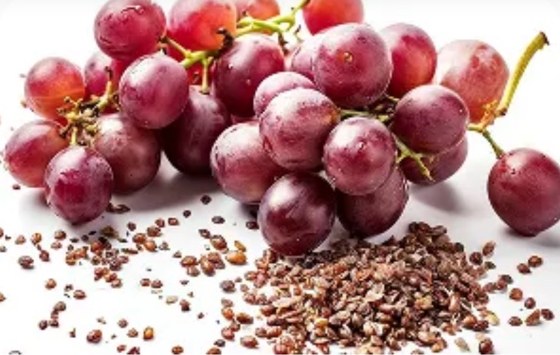 Grape Seed Extract